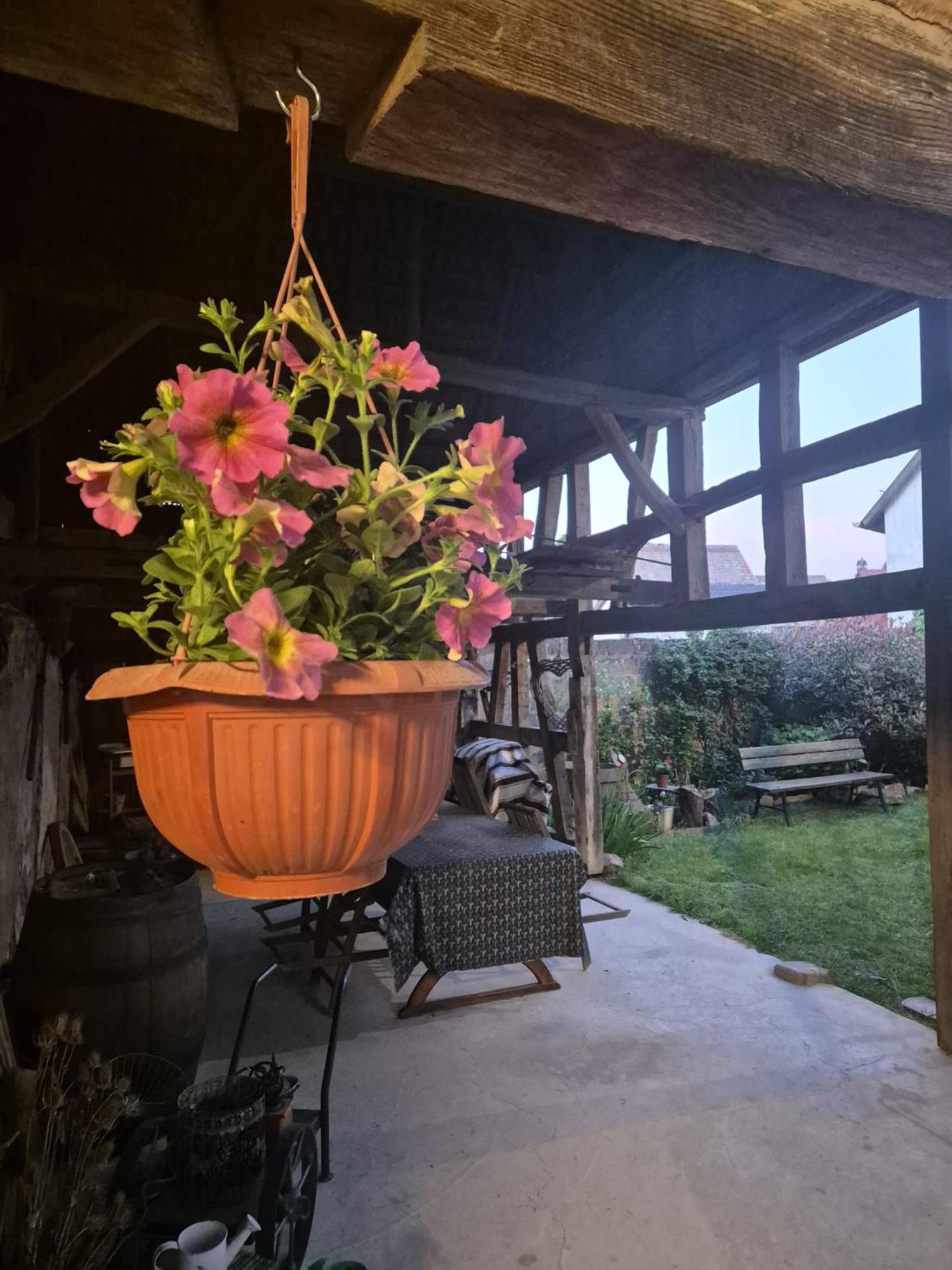 Apartamento A La Forge Sermersheim Exterior foto